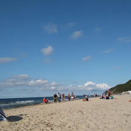 In Mi Dzywodzie Near Baltic *