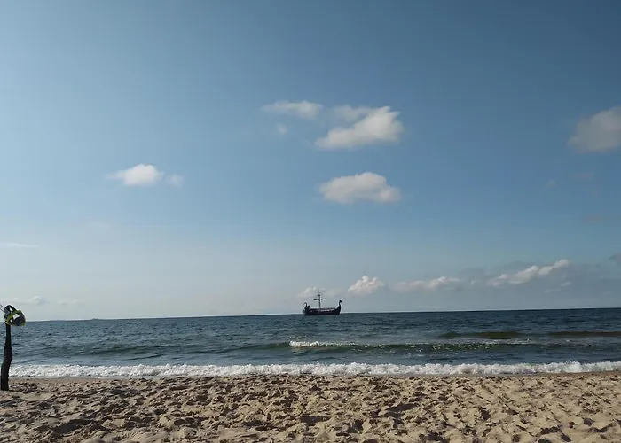 In Mi Dzywodzie Near Baltic *