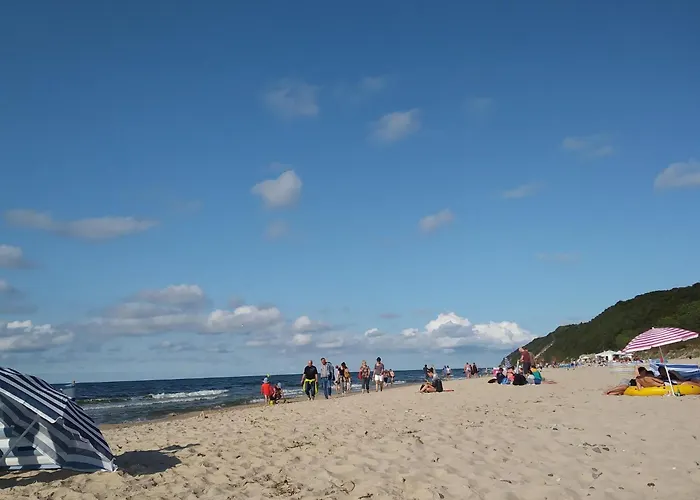 In Mi Dzywodzie Near Baltic *